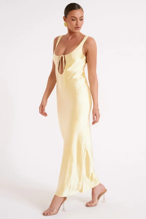 aubrie_4-2.webp Women MESHKI Maxi Dresses<Aubrie