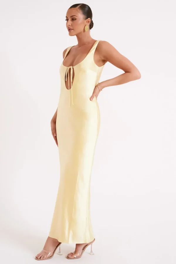 aubrie_5-2.webp Women MESHKI Maxi Dresses<Aubrie
