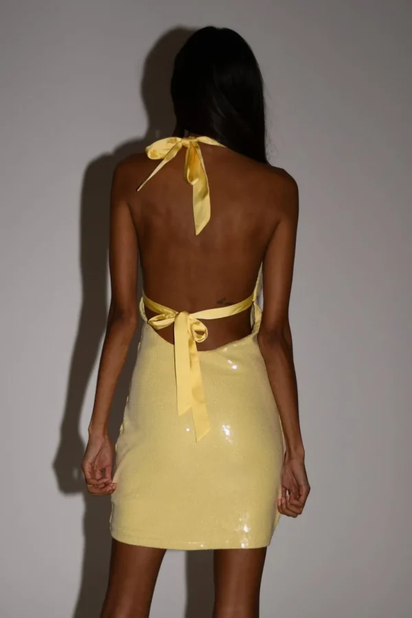 carleigh_1.webp Women MESHKI Mini Dresses<Carleigh