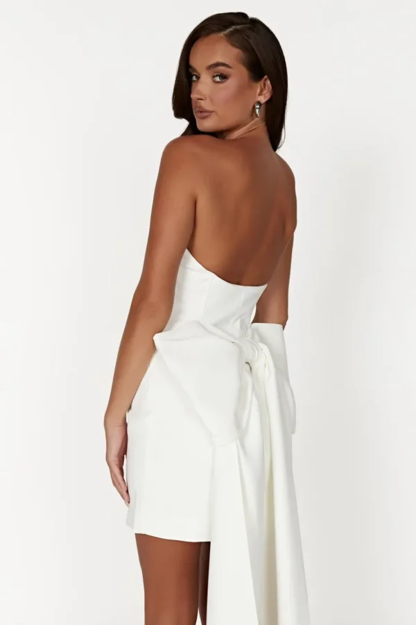 Women MESHKI Mini Dresses<Meredith